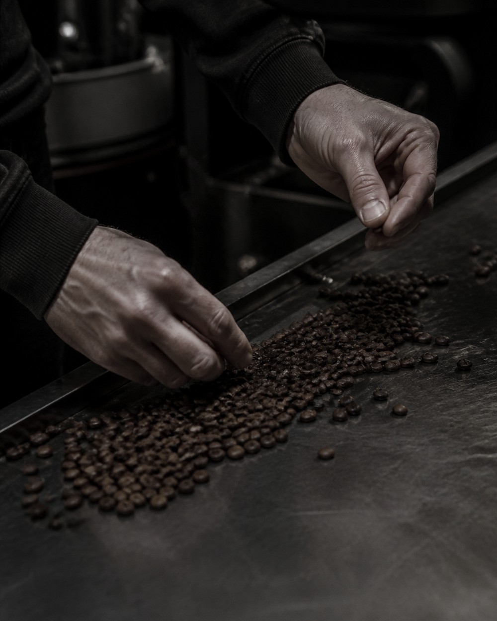 Hænder der sorterer ristede kaffebønner på et mørkt bord